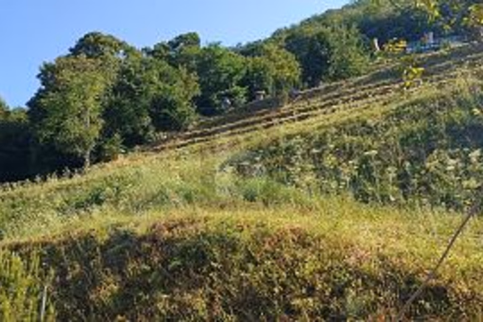 Terrain constructible avec vue dégagée, 6821 Rovio, Ticino, CH