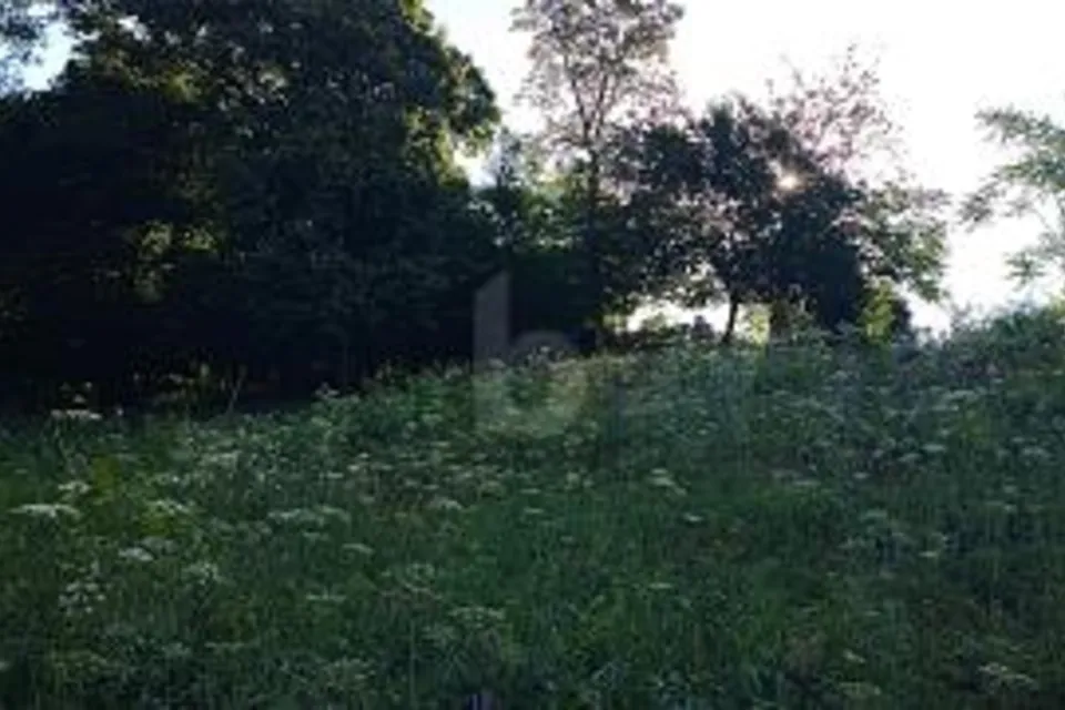 Terrain constructible avec vue dégagée, 6821 Rovio, Ticino, CH