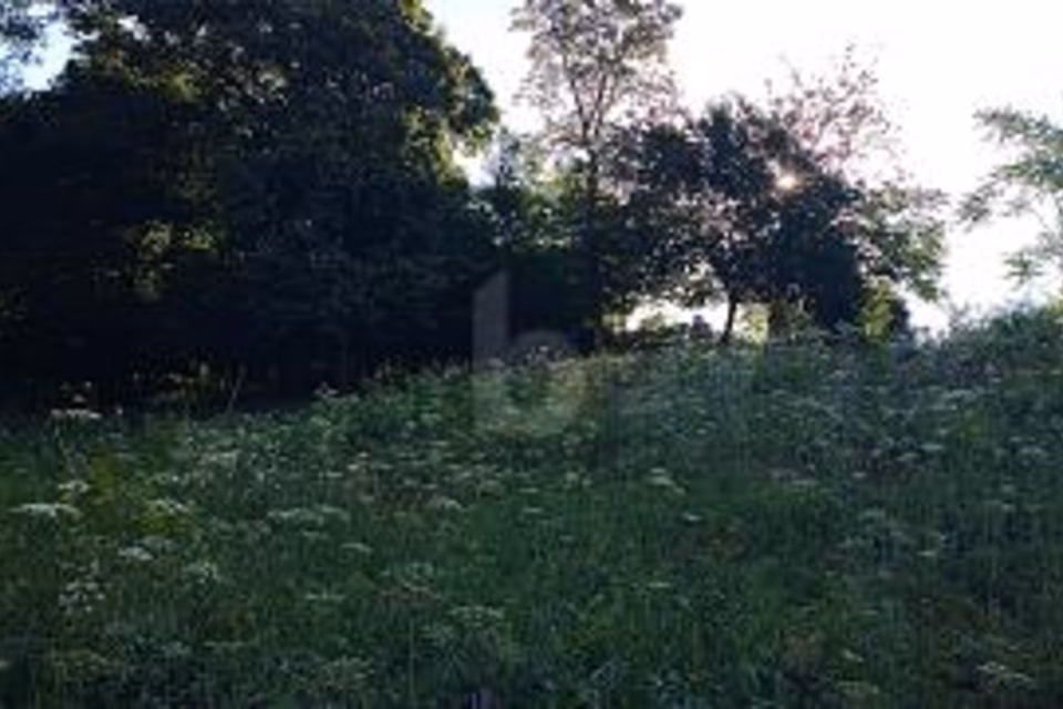 Terrain constructible avec vue dégagée, 6821 Rovio, Ticino, CH
