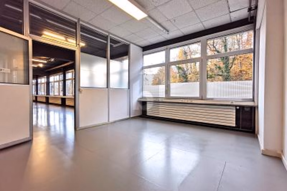 LOCALE MULTIFUNZIONALE - UFFICIO / MAGAZZINO / PRODUZIONE, 8630 Rüti ZH, Zurich, CH