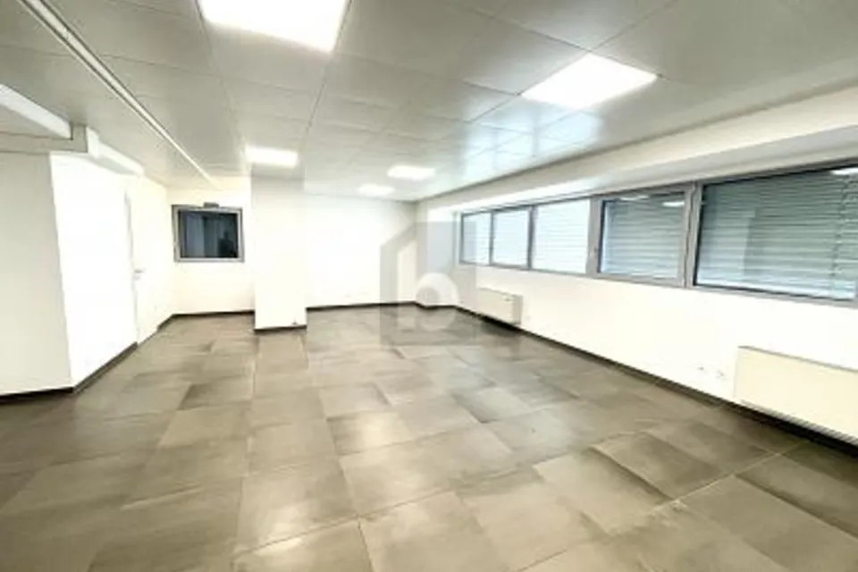 NOUVEL IMMEUBLE ARTISANAL/COMMERCIAL, 6528 Camorino, Ticino, CH