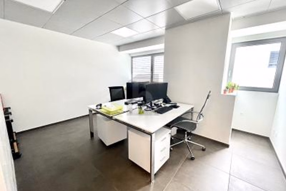 NUOVO STABILE ARTIGIANALE/COMMERCIALE, 6528 Camorino, Ticino, CH