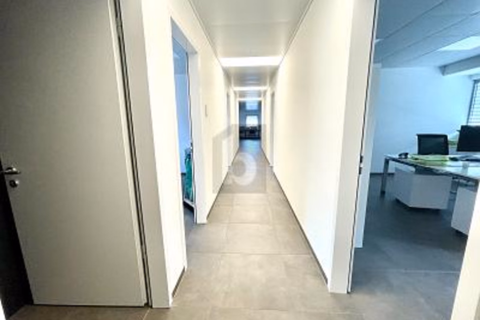 NUOVO STABILE ARTIGIANALE/COMMERCIALE, 6528 Camorino, Ticino, CH