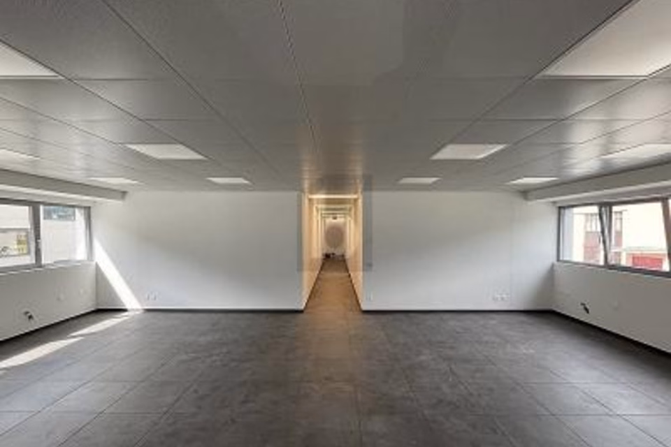 NUOVO STABILE ARTIGIANALE/COMMERCIALE, 6528 Camorino, Ticino, CH