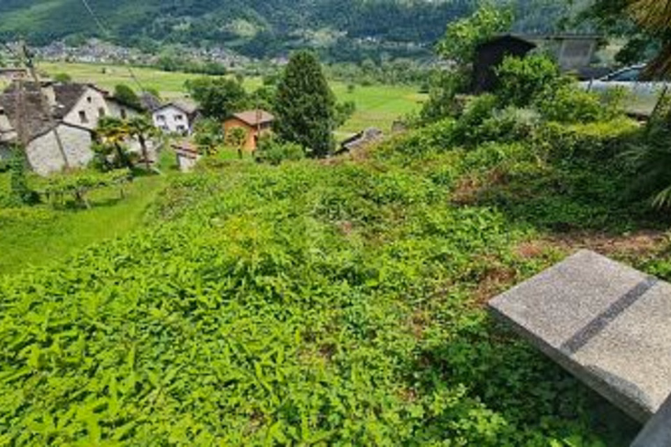 Terrain constructible en position ensoleillée avec vue dégagée, 6714 Semione, Ticino, CH