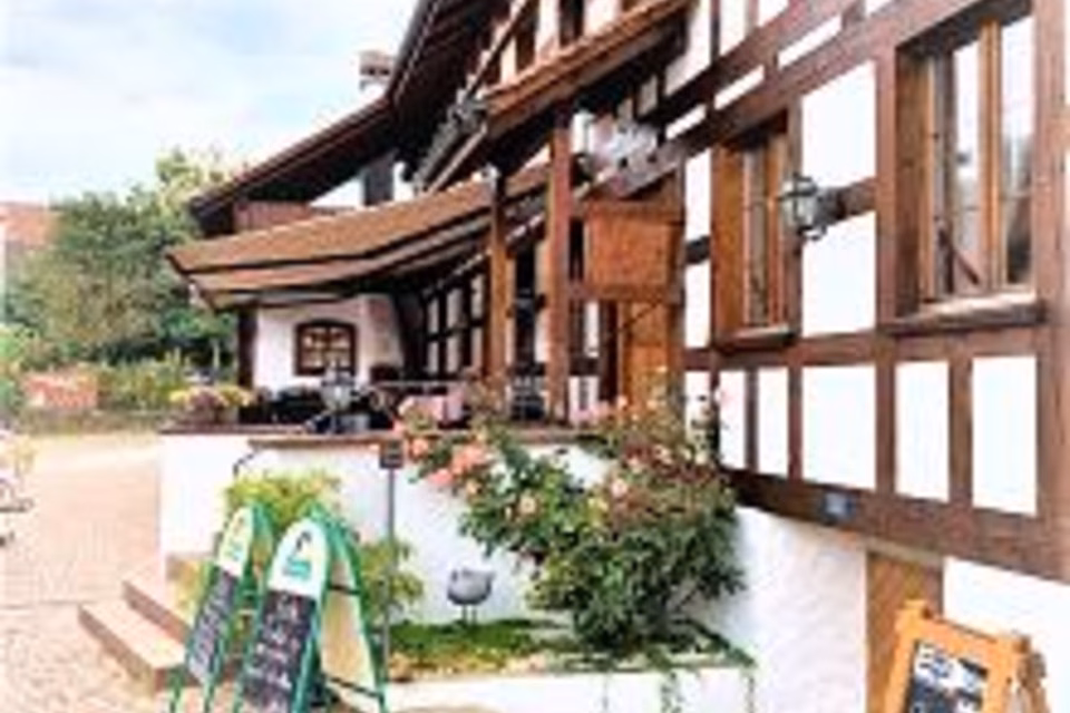 RESTAURANT - LÄNDLICH, RUSTIKAL, CHARMANT, 8196 Wil ZH, Zurich, CH