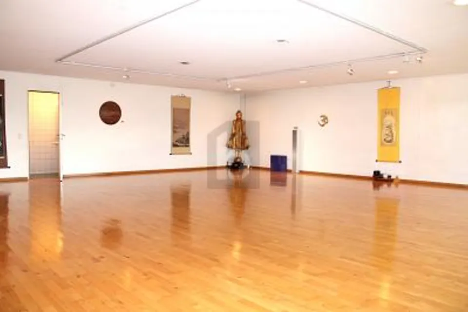 LUMINOSO CON GUARDAROBA, DOCCIA E SAUNA, 4102 Binningen, Basel-Landschaft, CH