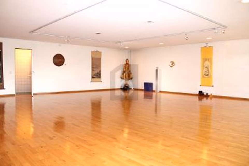 LUMINOSO CON GUARDAROBA, DOCCIA E SAUNA, 4102 Binningen, Basel-Landschaft, CH