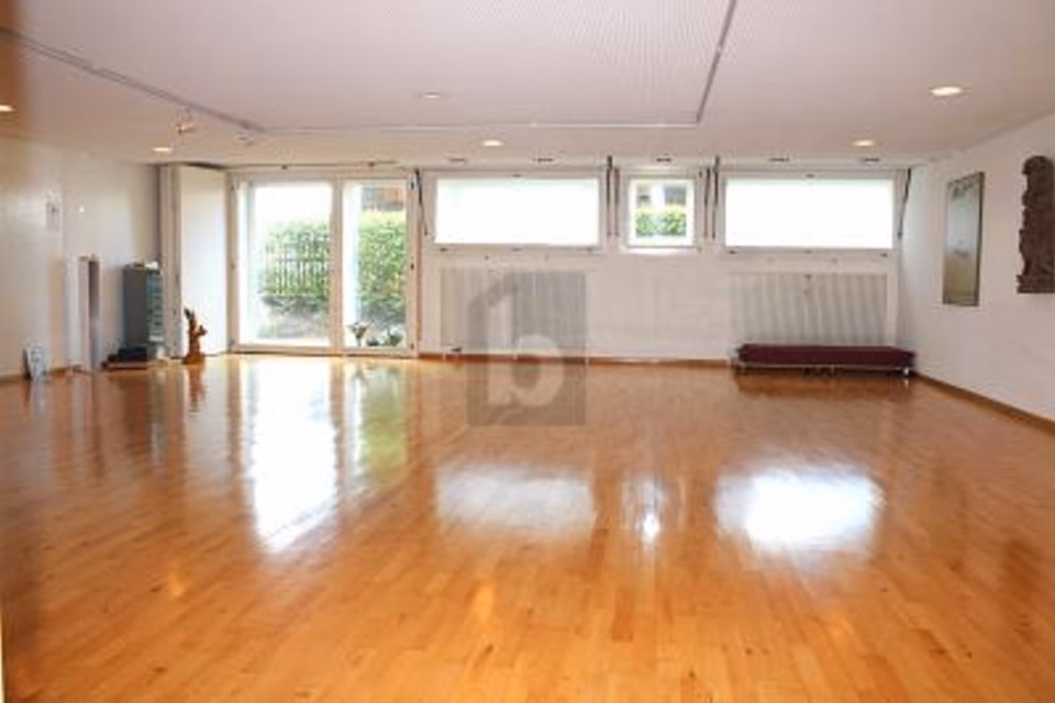 LUMINOSO CON GUARDAROBA, DOCCIA E SAUNA, 4102 Binningen, Basel-Landschaft, CH