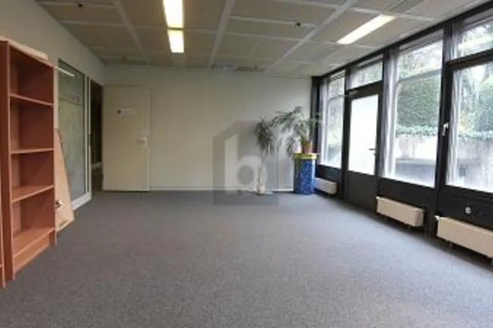 UFFICIO LUMINOSO E SPAZIOSO, 1025 St-Sulpice VD, Vaud, CH