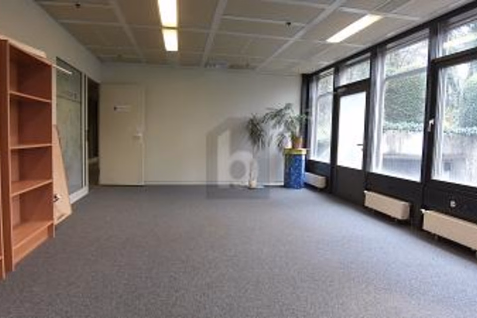 UFFICIO LUMINOSO E SPAZIOSO, 1025 St-Sulpice VD, Vaud, CH
