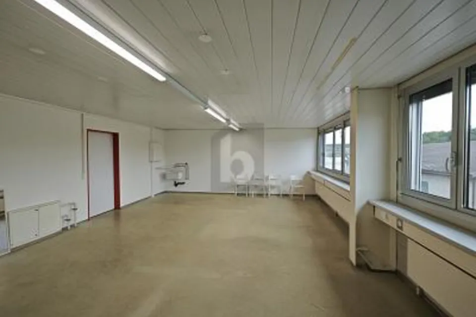 CENTRAL ET SPACIEUX, 5612 Villmergen, Aargau, CH