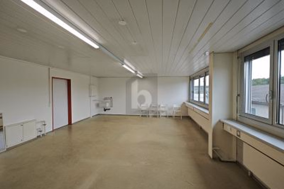 CENTRALE E SPAZIOSO, 5612 Villmergen, Aargau, CH