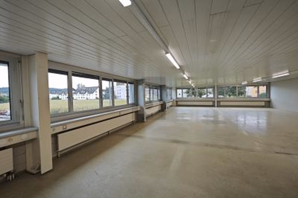 CENTRALE E SPAZIOSO, 5612 Villmergen, Aargau, CH