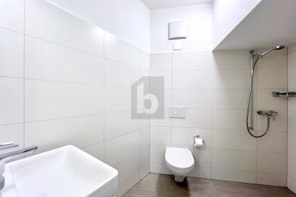 UFFICIO UNICO IN POSIZIONE CENTRALE, 9470 Buchs SG, St. Gallen, CH