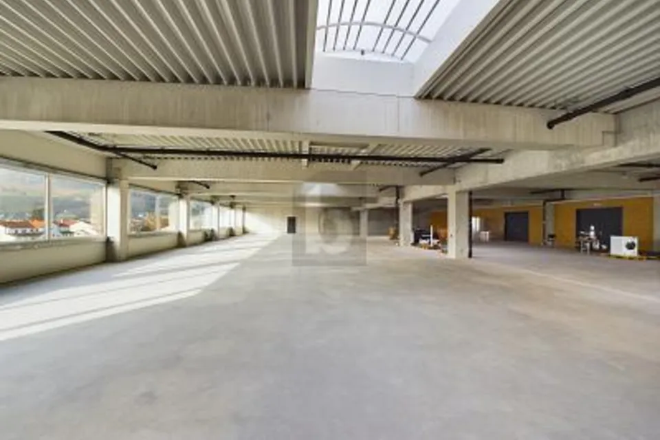 IMMENSE HALLE DE MONTAGE, IDÉALE POUR VOTRE ENTREPRISE, 9434 Au SG, St. Gallen, CH