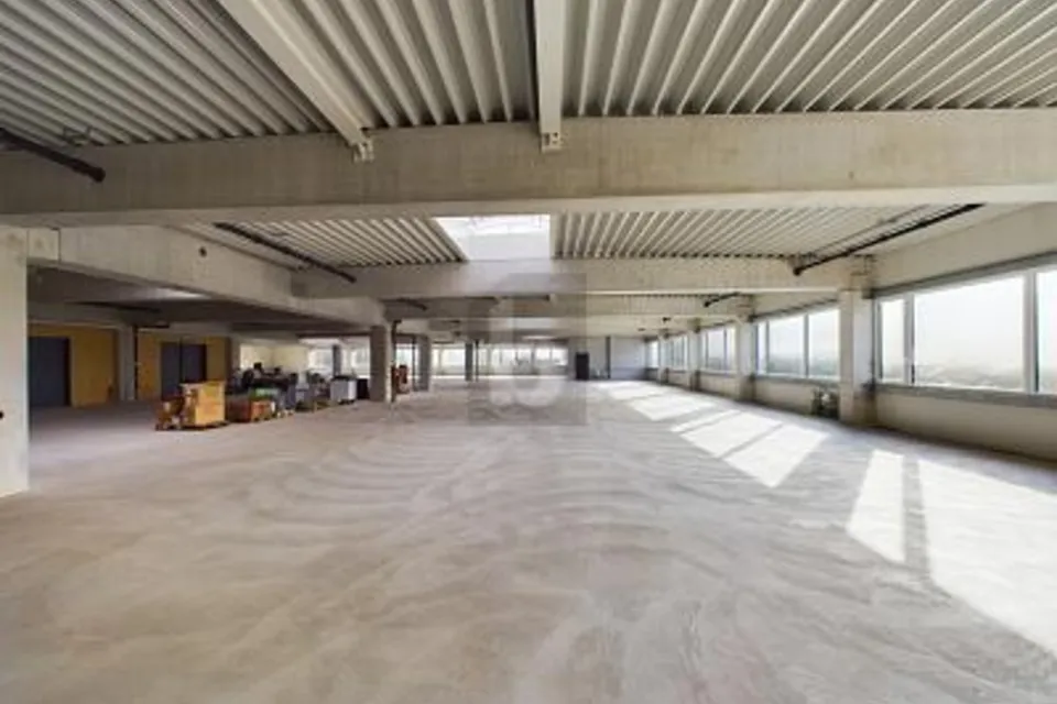 IMMENSE HALLE DE MONTAGE, IDÉALE POUR VOTRE ENTREPRISE, 9434 Au SG, St. Gallen, CH