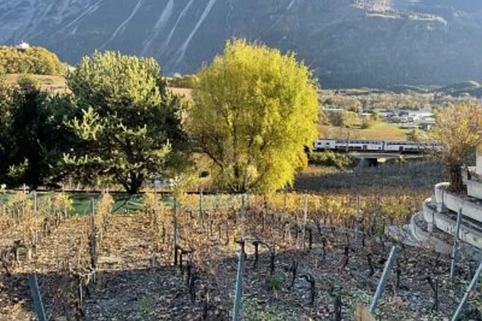 AU MILIEU DES VIGNOBLES PITTORESQUES, 3970 Salgesch, Valais/Wallis, CH