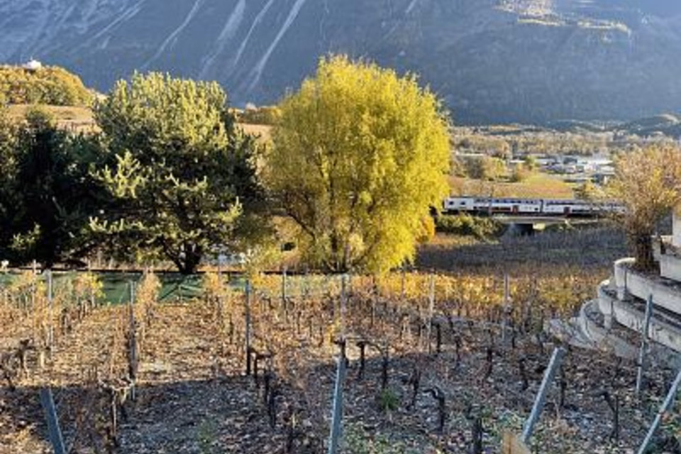 AU MILIEU DES VIGNOBLES PITTORESQUES, 3970 Salgesch, Valais/Wallis, CH