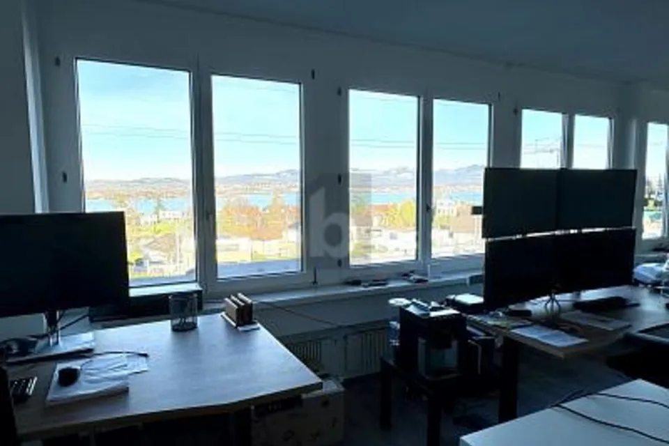REPRÉSENTATIF AVEC VUE SUR LE LAC, 8808 Pfäffikon SZ, Schwyz, CH
