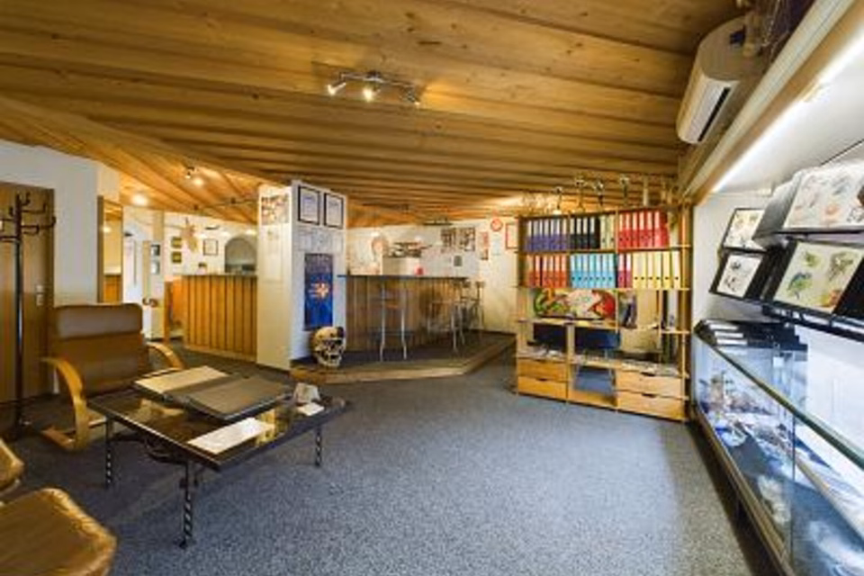RENTABILITÉ ÉLEVÉE EN EMPLACEMENT CENTRAL, 2540 Grenchen, Solothurn, CH