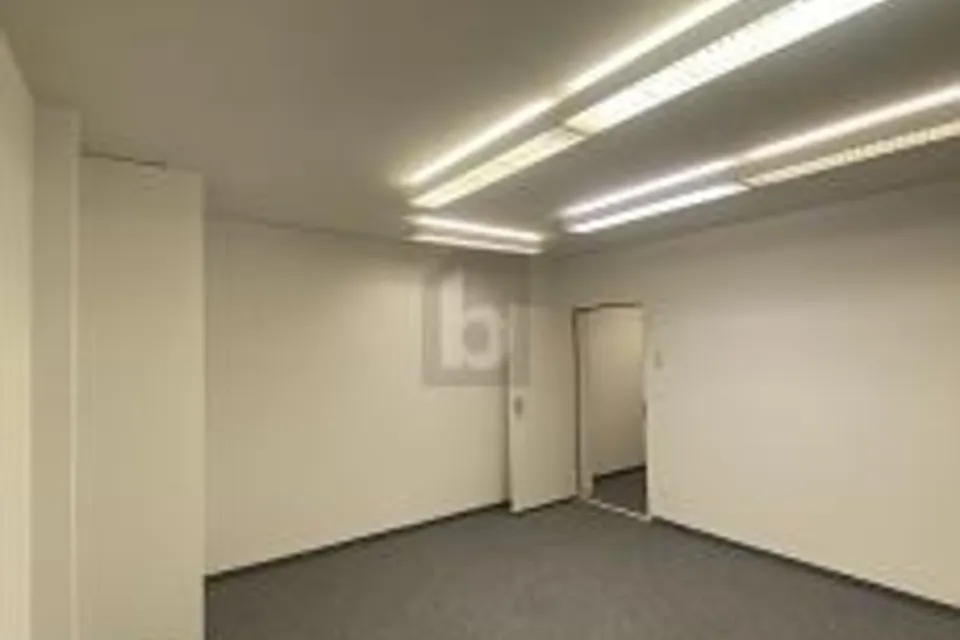 MODERNO IN POSIZIONE DI PREGIO, 8400 Winterthur, Zurich, CH