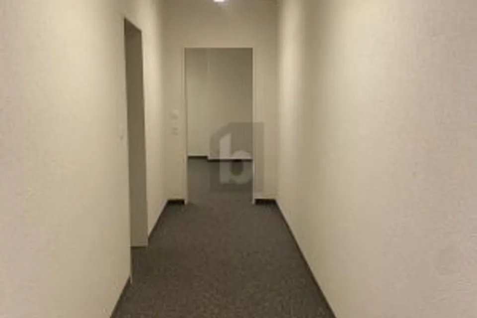 MODERNO IN POSIZIONE DI PREGIO, 8400 Winterthur, Zurich, CH