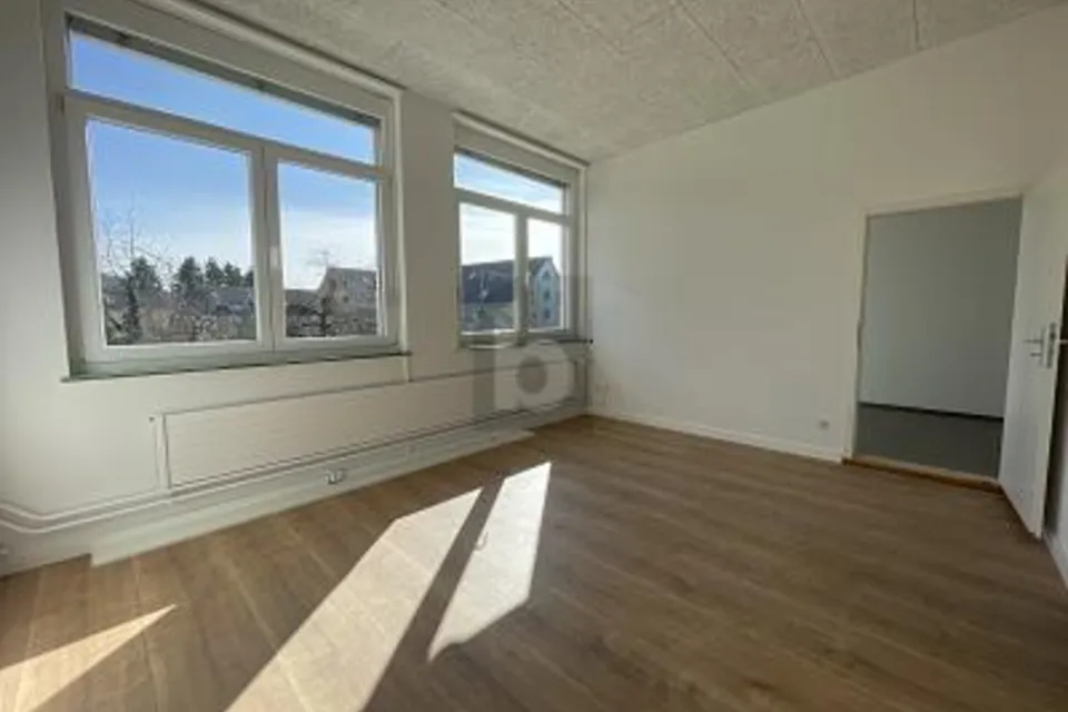 SPAZIO PER IDEE E SVILUPPO, 3380 Wangen an der Aare, Bern, CH