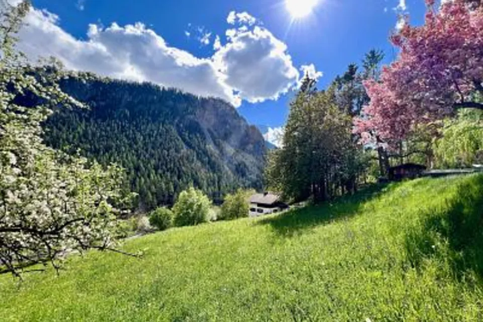 EMPLACEMENT UNIQUE ET ENSOLEILLÉ AVEC RÉSERVE DE TERRAIN CONSTRUCTIBLE, 7477 Filisur, Grisons, CH