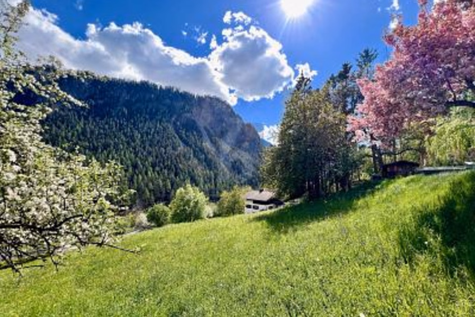 EMPLACEMENT UNIQUE ET ENSOLEILLÉ AVEC RÉSERVE DE TERRAIN CONSTRUCTIBLE, 7477 Filisur, Grisons, CH