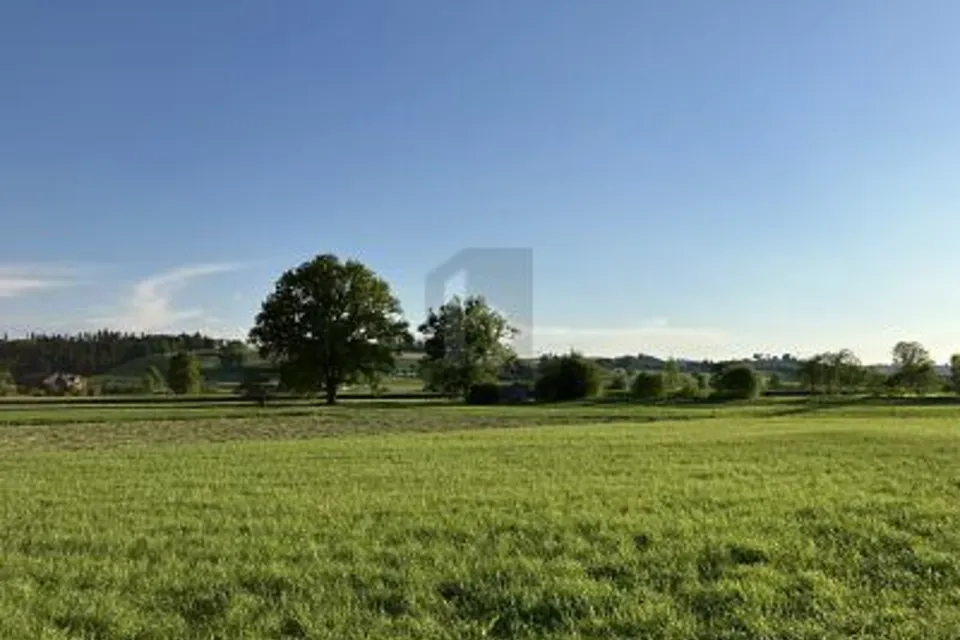 NUOVA COSTRUZIONE FLESSIBILE PER ESIGENZE INDIVIDUALI, 6018 Buttisholz, Lucerne, CH