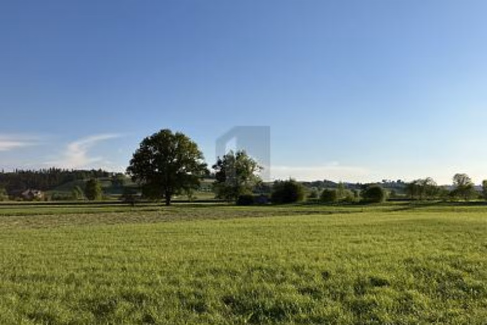 NUOVA COSTRUZIONE FLESSIBILE PER ESIGENZE INDIVIDUALI, 6018 Buttisholz, Lucerne, CH