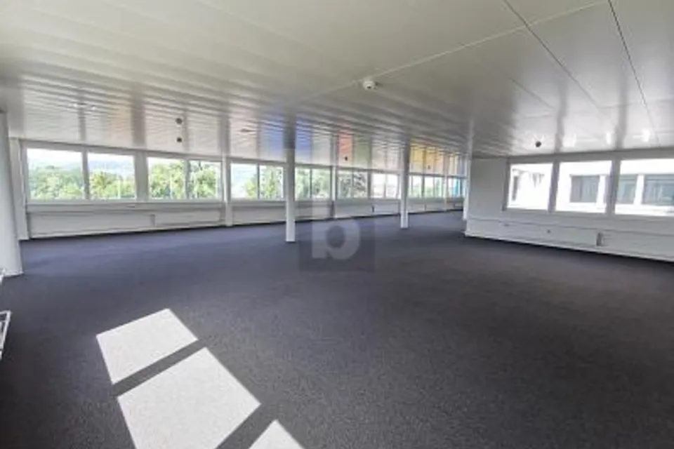 AMPIO, LUMINOSO E IN BUONA POSIZIONE, 4133 Pratteln, Basel-Landschaft, CH