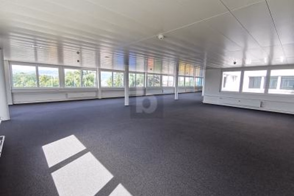 AMPIO, LUMINOSO E IN BUONA POSIZIONE, 4133 Pratteln, Basel-Landschaft, CH