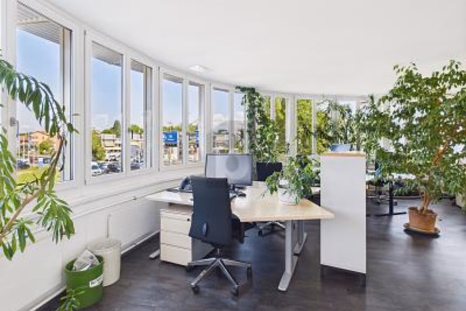 EMPLACEMENT DE PREMIER CHOIX À WALLISELLEN, 8304 Wallisellen, Zurich, CH