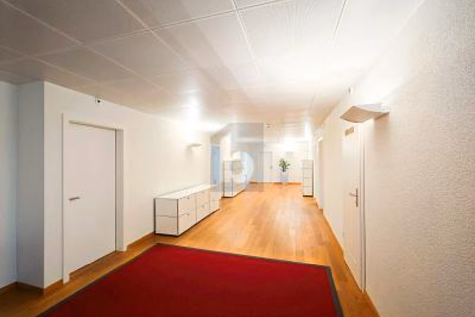 EMPLACEMENT IDÉAL AU CŒUR DE LA VILLE, 8002 Zürich, Zurich, CH