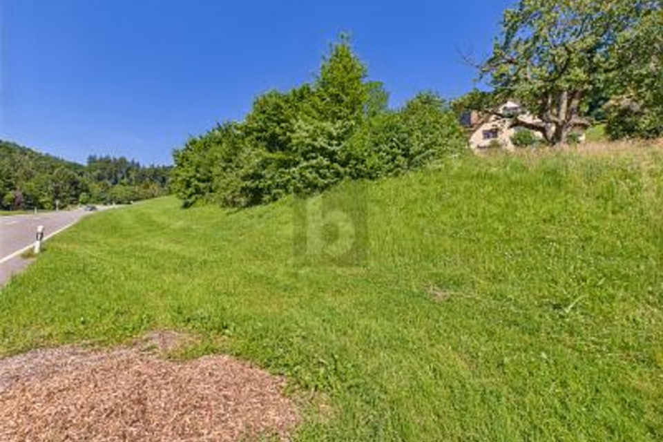 RARE OCCASION À UN EMPLACEMENT DE PREMIER CHOIX, 9442 Berneck, St. Gallen, CH