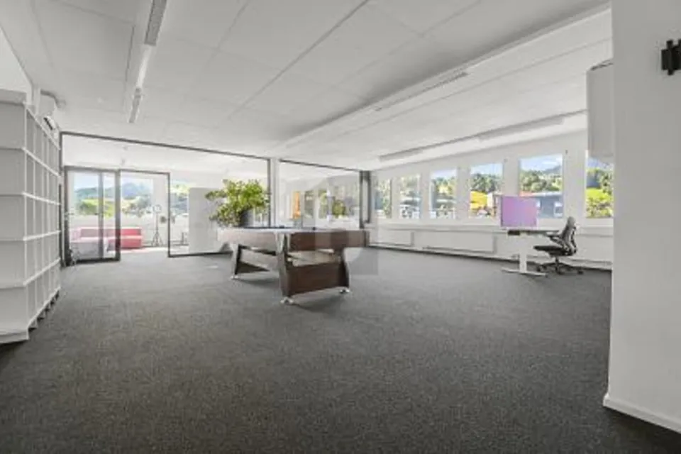 Rappresentativo e versatile, 8832 Wollerau, Schwyz, CH