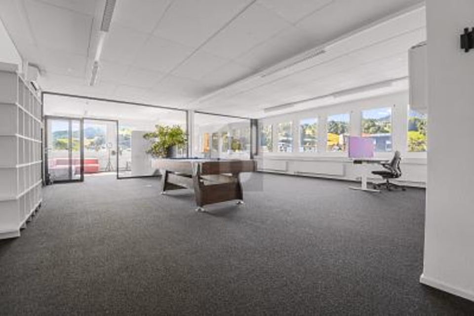 Rappresentativo e versatile, 8832 Wollerau, Schwyz, CH