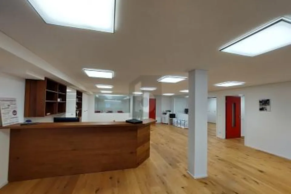 YOUR NEW BUSINESS REFUGE: FLEXIBLY FURNISHED, 6467 Schattdorf, Uri, CH