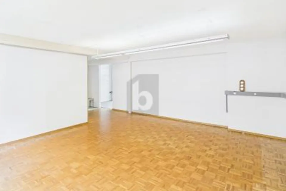 VERSATILE CON GRANDE POTENZIALE, 3360 Herzogenbuchsee, Bern, CH
