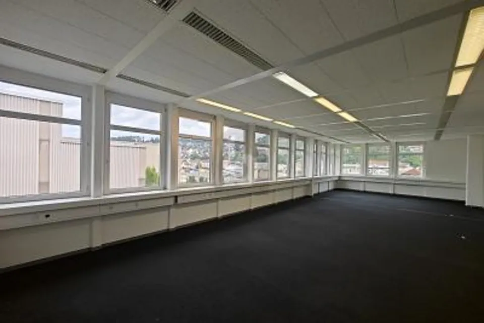 GROSSZÜGIG UND REPRÄSENTATIV, MIT LKW-RAMPEN, 4142 Münchenstein, Basel-Landschaft, CH