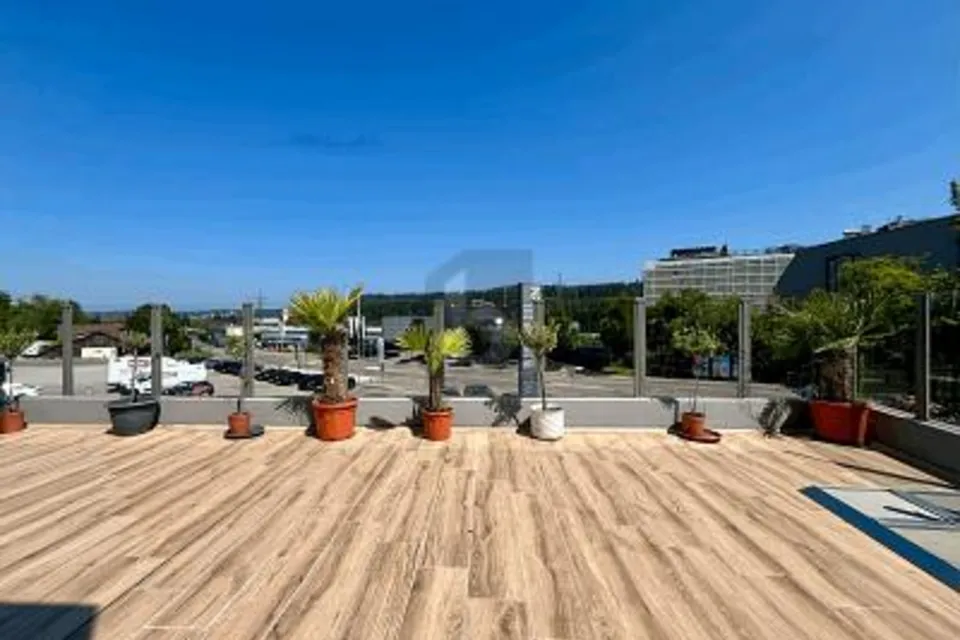 RÉCEMMENT RÉNOVÉ AVEC GRANDE TERRASSE, 8406 Winterthur, Zurich, CH