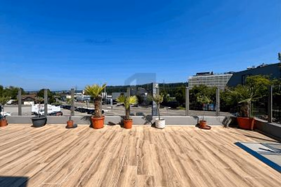 RÉCEMMENT RÉNOVÉ AVEC GRANDE TERRASSE, 8406 Winterthur, Zurich, CH