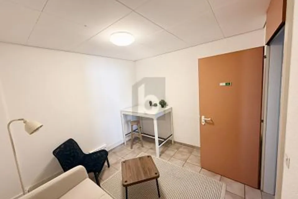 CENTRAL AND SPACIOUS, 1110 Morges, Vaud, CH