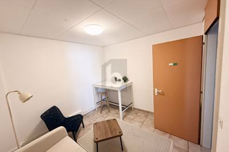 CENTRALE E SPAZIOSO, 1110 Morges, Vaud, CH