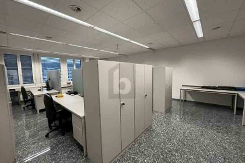 AMPIO, LUMINOSO & BEN COLLEGATO, 8952 Schlieren, Zurich, CH
