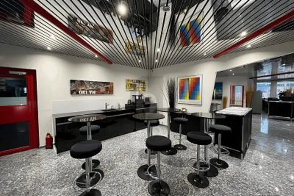 AMPIO, LUMINOSO & BEN COLLEGATO, 8952 Schlieren, Zurich, CH
