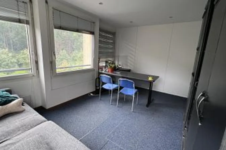 ESPACE DE BUREAUX INTEMPORELS ET PROCHE DU CENTRE, 1227 Carouge GE, Geneva, CH