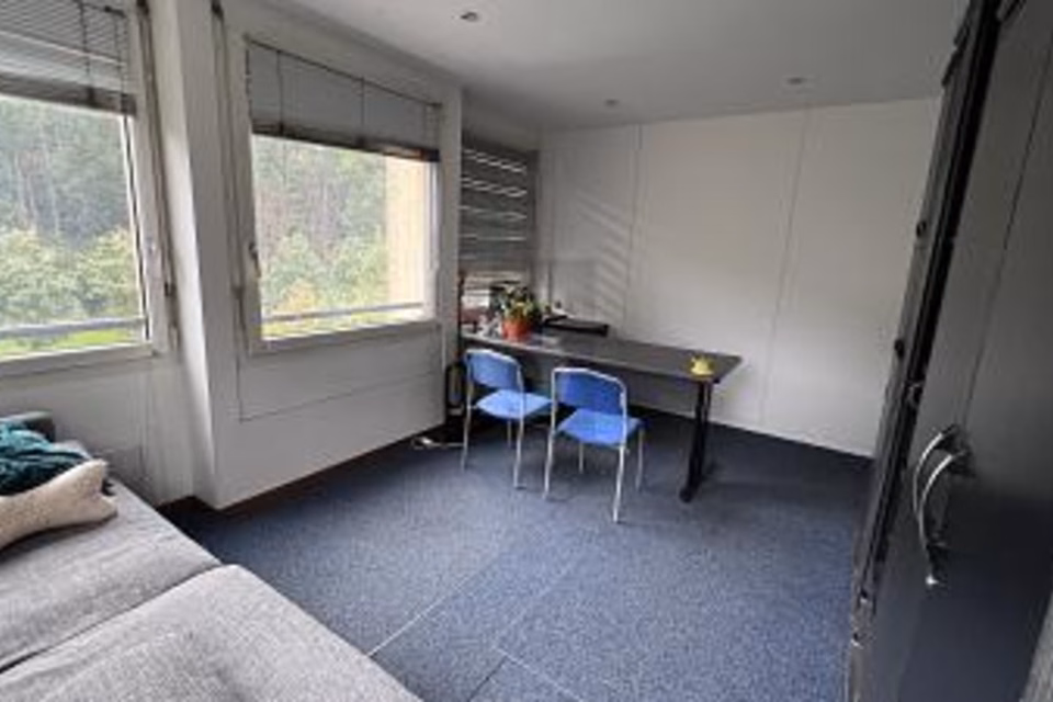 UFFICIO DALLO STILE SENZA TEMPO VICINO AL CENTRO, 1227 Carouge GE, Geneva, CH